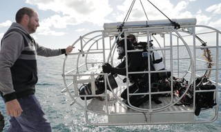 Sharks Of the Badlands