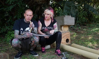 Snakes in the City: Uncharted Compilation