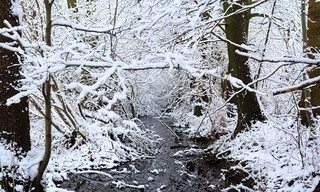 Geo Reportage: Spreewald - Kähne, Köche, Klapperstörche
