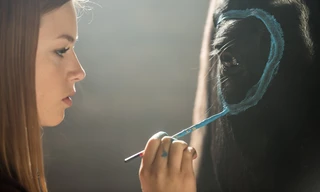 Stormwind 3: Op weg naar Ora