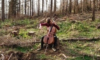 Suites pour un monde en souffrance : Tanja Tetzlaff