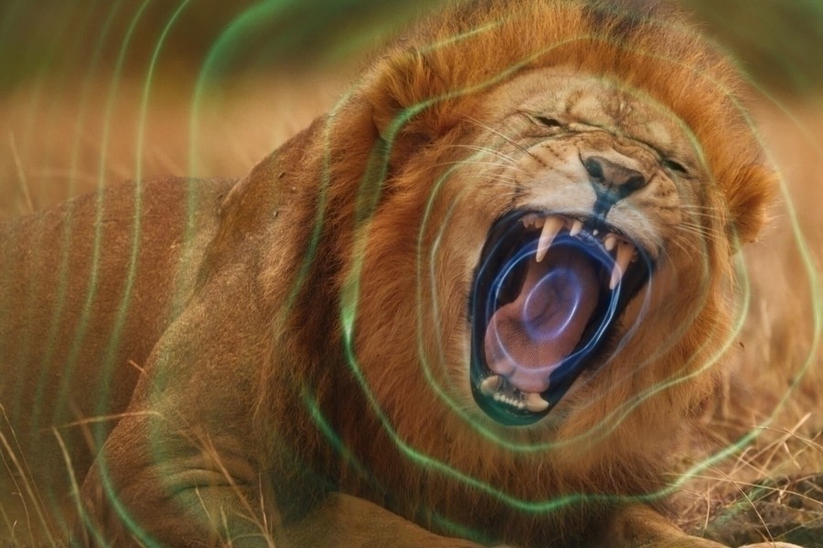 Secret World of Sound