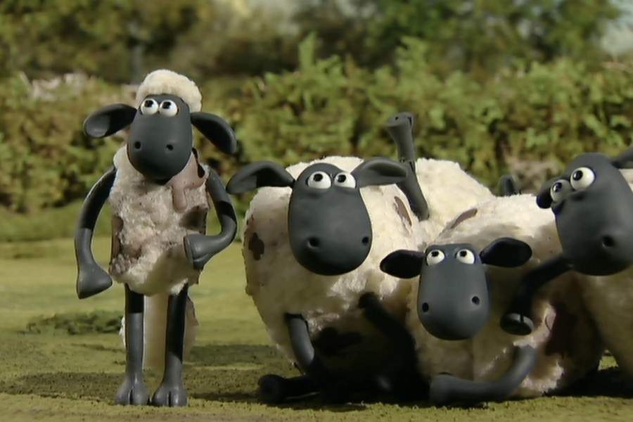 Shaun het schaap