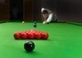 Snooker: World Open