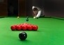 Snooker: World Open