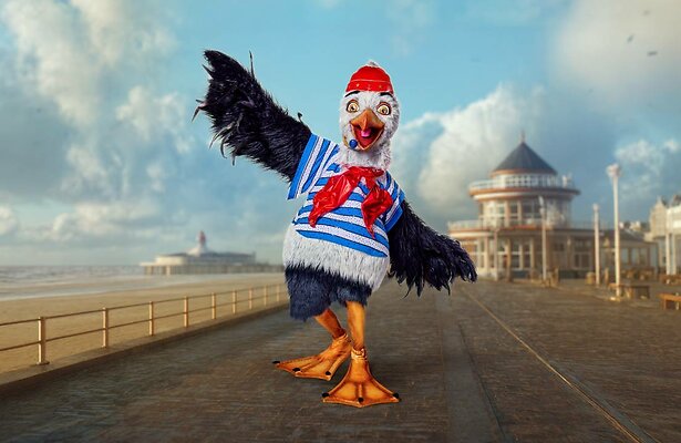 Frank Dane was De Meeuw in The Masked Singer.