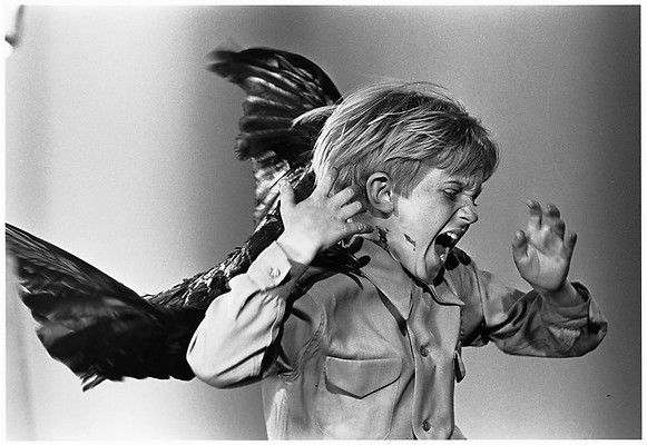 De vogels van Alfred Hitchcock