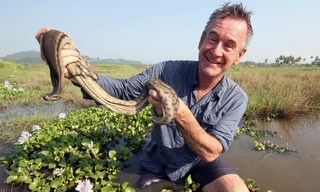 Ten deadliest snakes with Nigel Marven