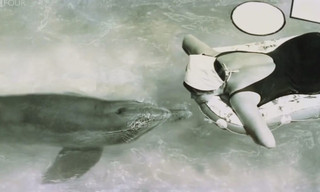 The girl who talked to dolphins