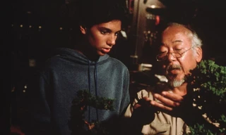 The Karate Kid