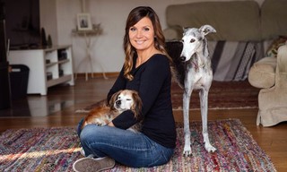 Tiere suchen ein Zuhause