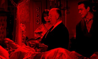 Tippi Hedren und die wilden Tiere