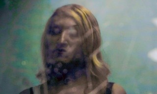 Transfariana - Ein Riesenmonster