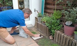 Traumrasen - Perfekte Grün ohne Pilz, Moos und Maulwürfe