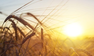 Turismo rural en el mundo