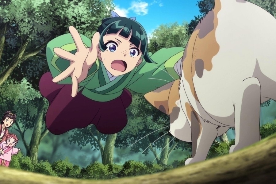 The Apothecary Diaries