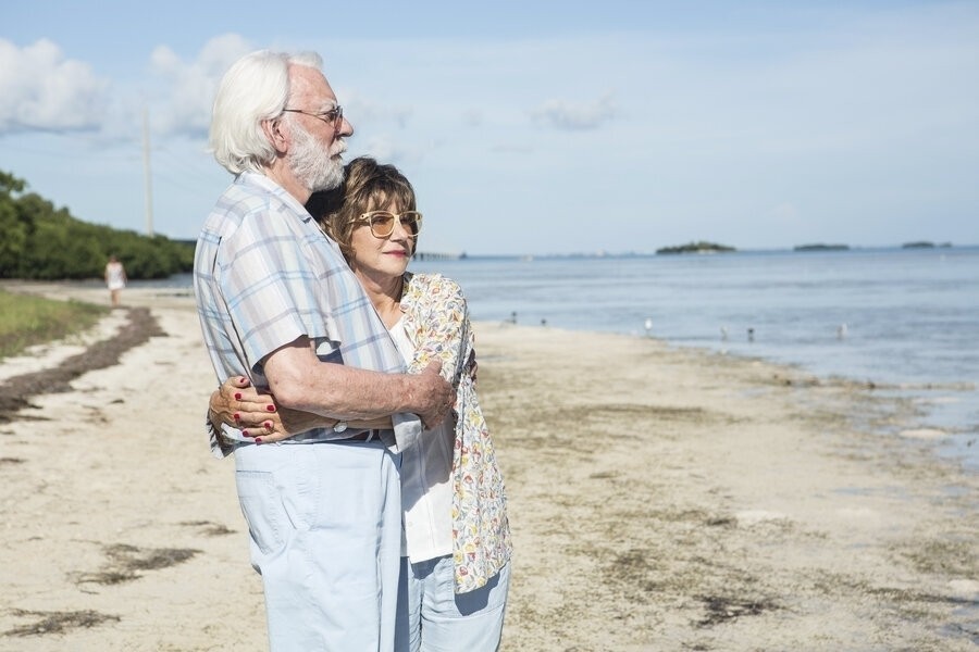 The Leisure Seeker
