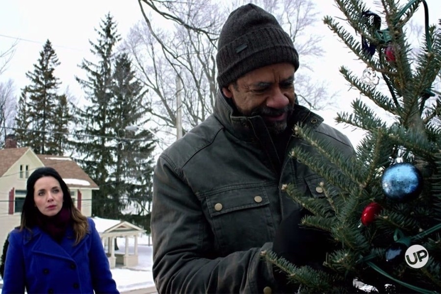 The Rooftop Christmas Tree