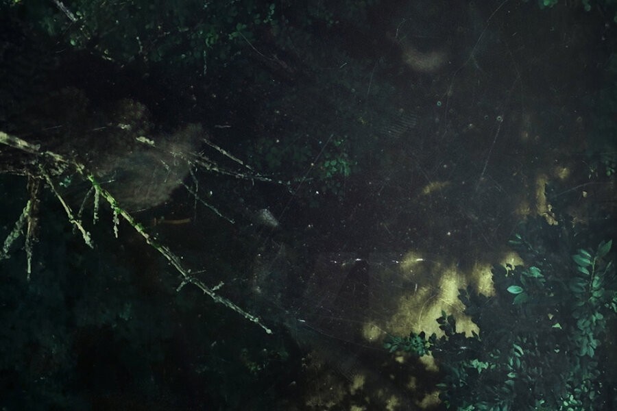 The Wonderland murders