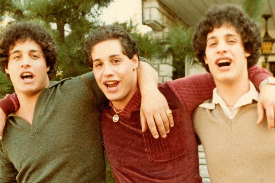 Three Identical Strangers