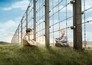 The Boy in the Striped Pyjamas