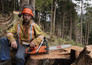 The last woodsmen