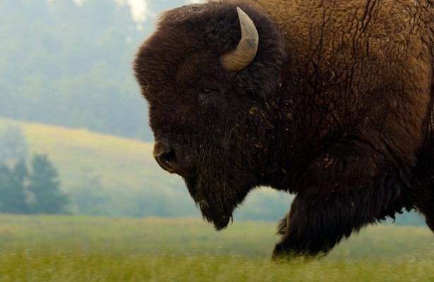 Still uit The Americas