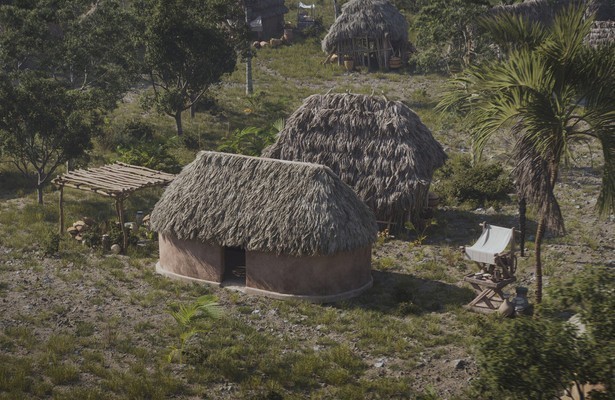 The Rise and Fall of the Maya