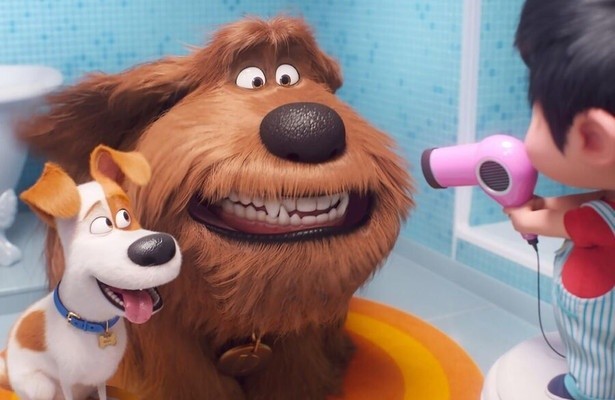 Still uit The Secret Life of Pets 2