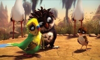 Überflieger - Kleine Vögel, großes Geklapper