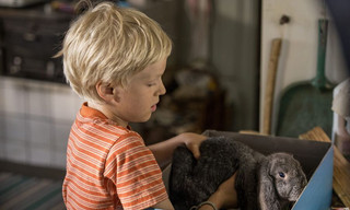 Unsere Ferien auf Saltkrokan