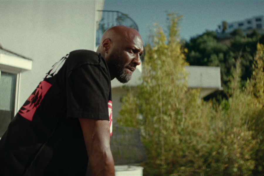 Untold: The Death & Life of Lamar Odom