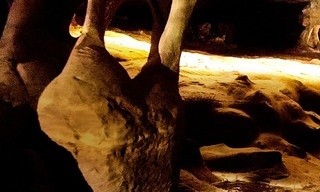 Venezuelas Tafelberge - Expedition ins Haus der Götter