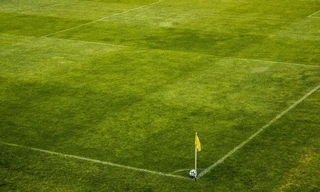 Voetbal - WK-kwalificatie (v): Polen - Nederland