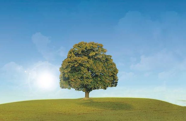 Georgina Verbaan duikt in familiegeschiedenis