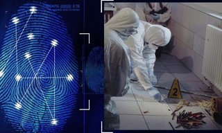 Wahre Verbrechen: Suche nach Gerechtigkeit