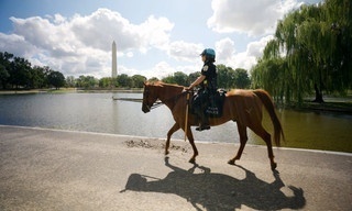Washington DC - Hinter den Kulissen der Macht