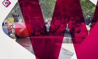 West Vandaag Weekoverzicht