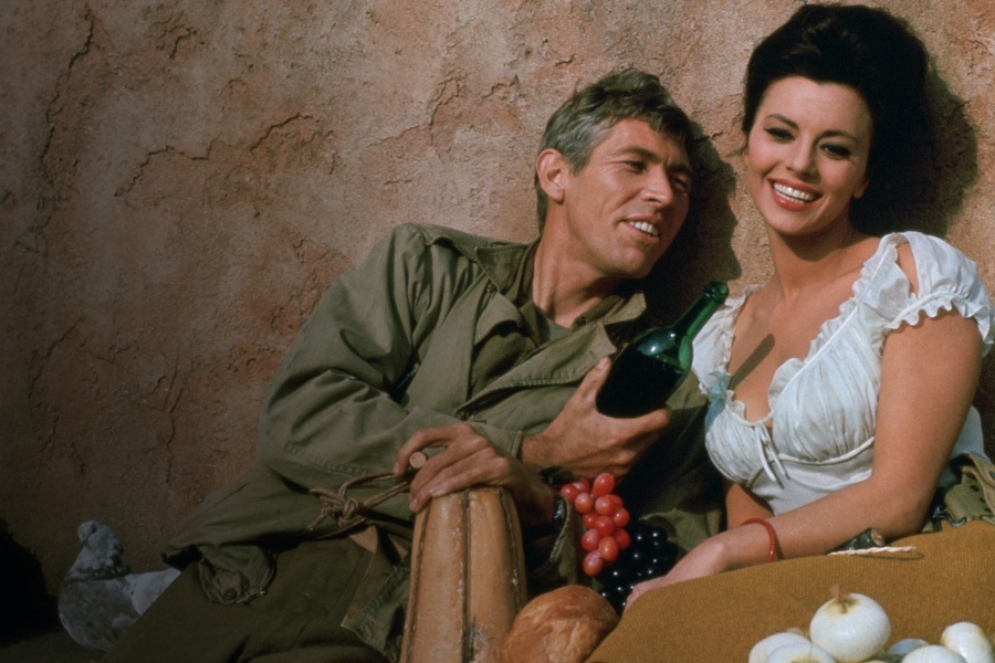 What Did You Do In the War, Daddy?