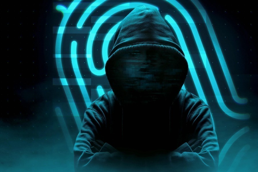 Wie is de Mol? België