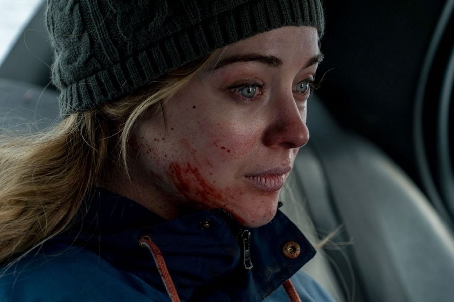 Witches in the Woods