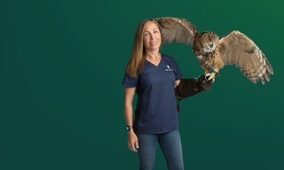 Yukon Vet: Northern Lites