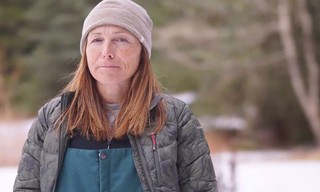 Yukon Vet: Northern Lites