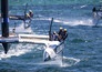 Zeilen: SailGP Auckland
