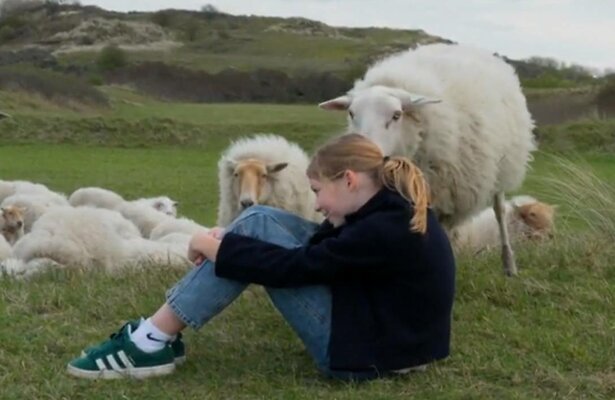 Familie Blom loopt mee met een schaapsherder en zijn kudde.