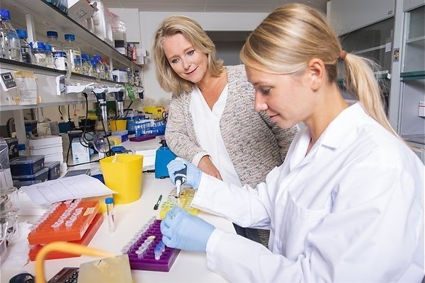 Bacterie-etende virussen