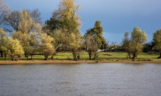 Die Elbmarsch entdecken - Zwischen Kuh-Weiden und Camping-Gefühl