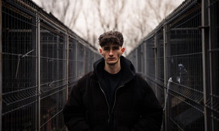 Die Hunde-Mafia: How to kill a Puppy & get rich