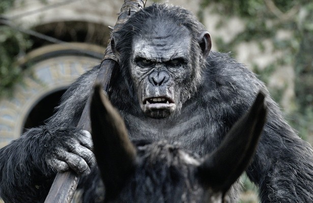 Dawn of the Planet of the Apes