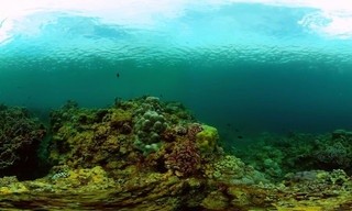 Ein Team, eine Mission, fünf Wochen im Atlantik